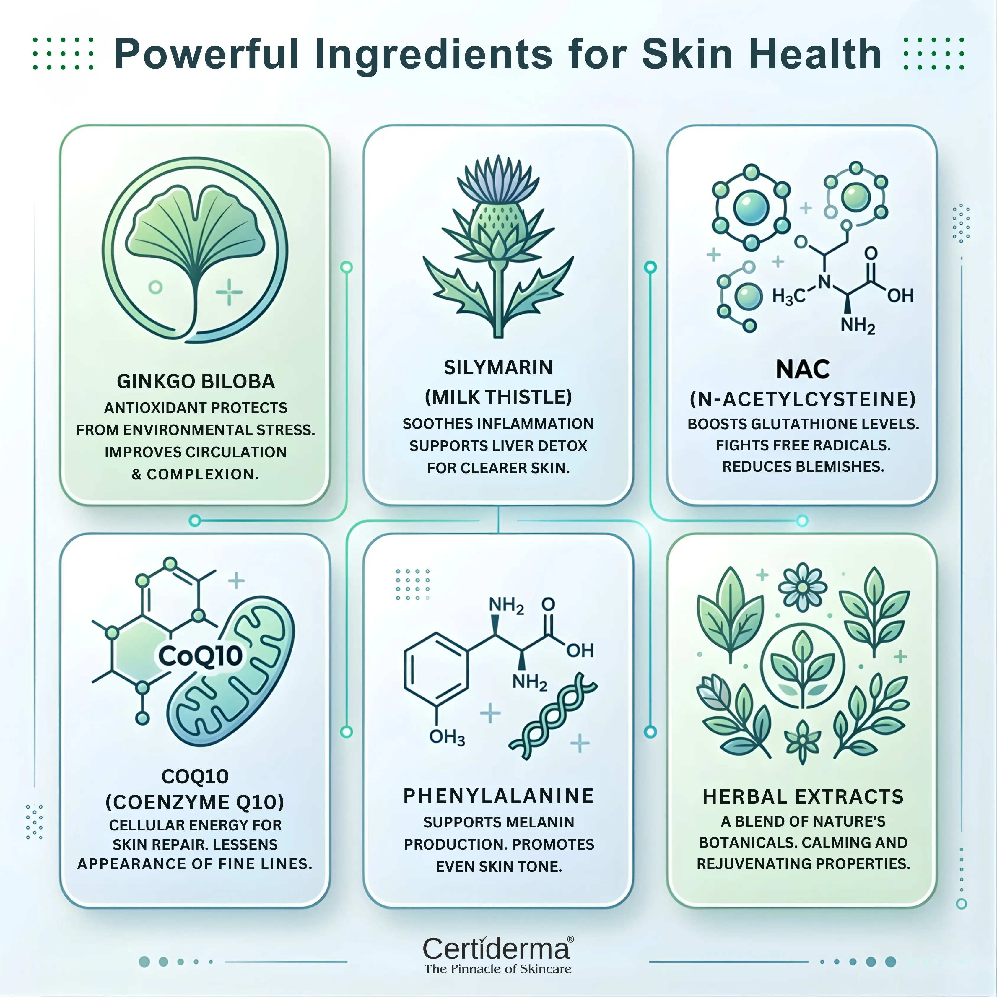 certiderma-vitinor-next-ingredients-ginkgo-silymarin-nac-coq10-phenylalanine-benefits